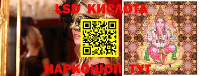 spice Кандалакша
