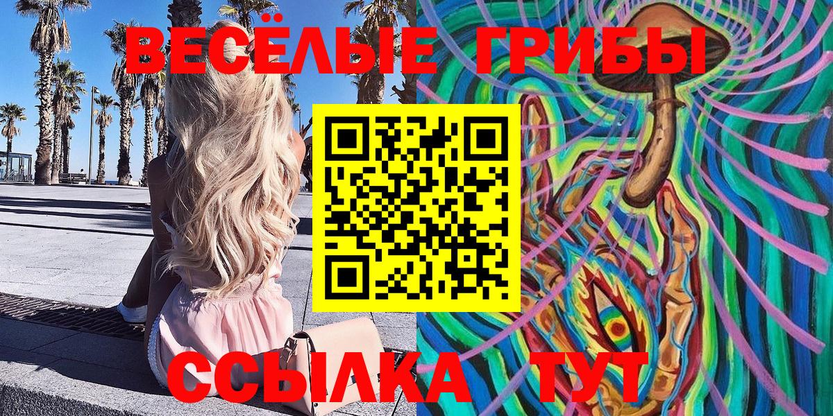 купить наркотик  Крымск  Псилоцибиновые грибы MAGIC MUSHROOMS 